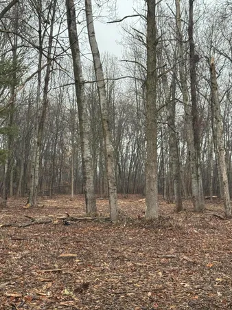 $50,000 | South Main Street, Au Gres, MI 48703