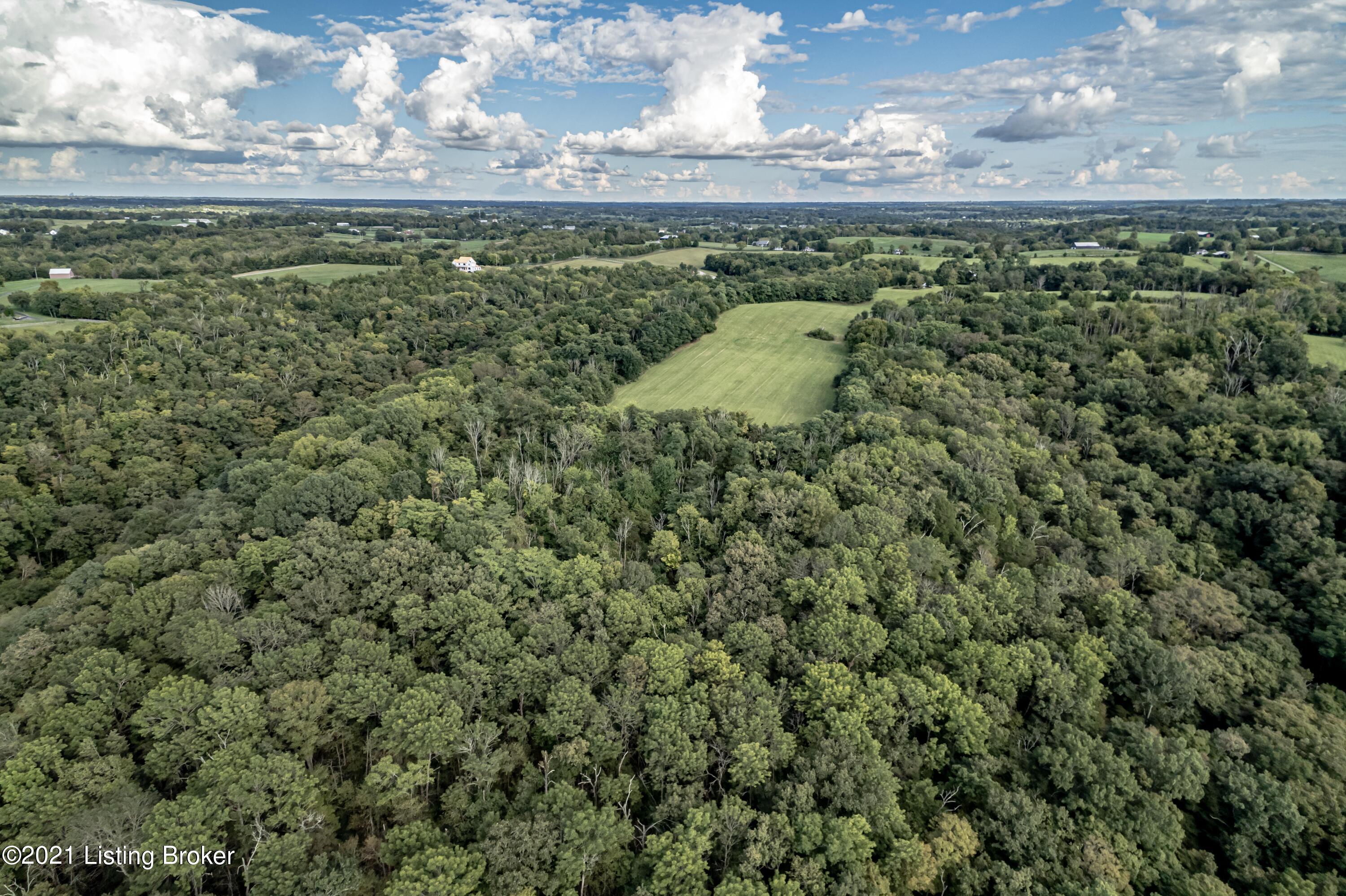 7599 McCowans Ferry Road Versailles, KY 40383 - Photo 30 of 34 DJI_0080