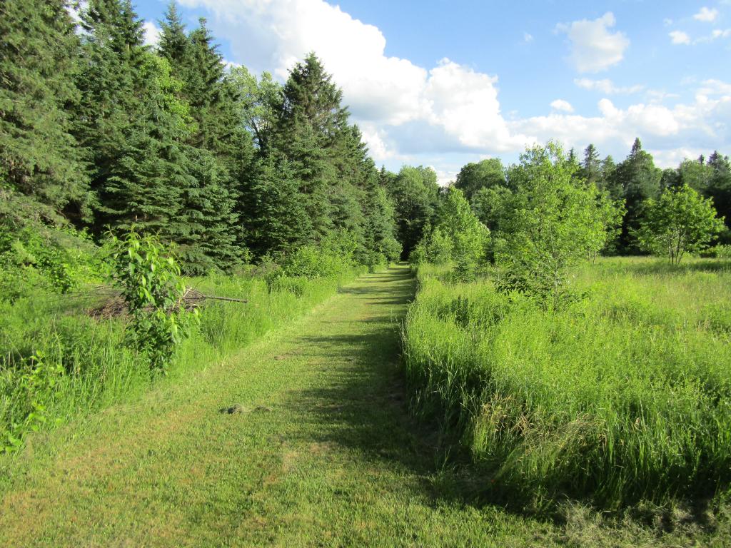 188 East Colebrook Road Colebrook, NH 03576 - Photo 8 of 19
