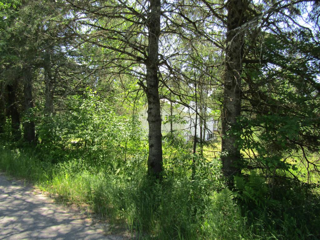 188 East Colebrook Road Colebrook, NH 03576 - Photo 10 of 19
