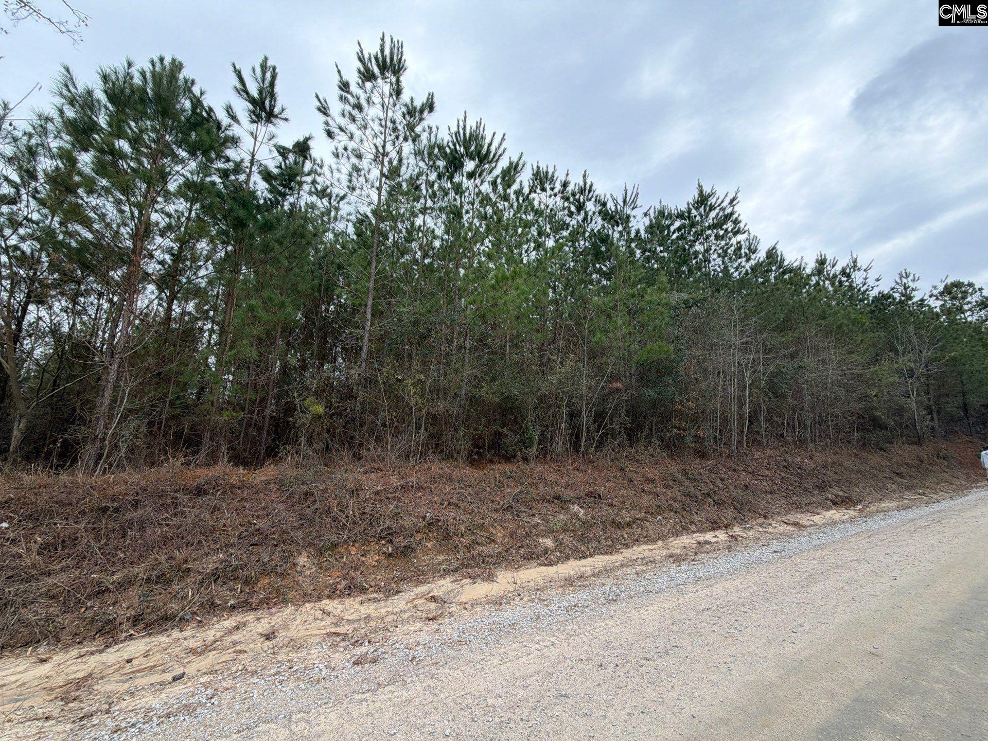 2 Jc Barefoot Road, Unit BFF II 2 Patrick, SC 29584 - Photo 7 of 13