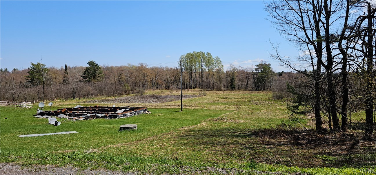 8098 Mc Gowan Road Pinckney, NY 13626 - Photo 5 of 7