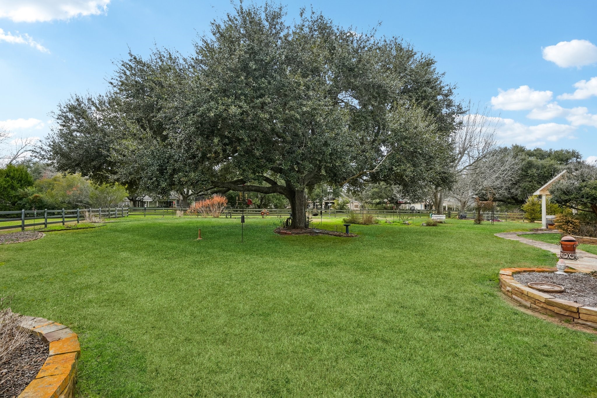 31810 Tree Farm Lane Fulshear, TX 77441 - Photo 35 of 49 Backyard Pecan trees