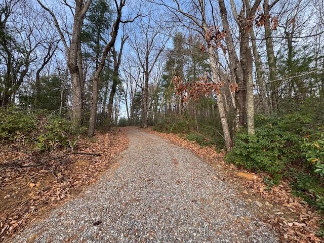 117 Windchase Trail Woolwine, VA 24185 - Photo 43 of 46 54