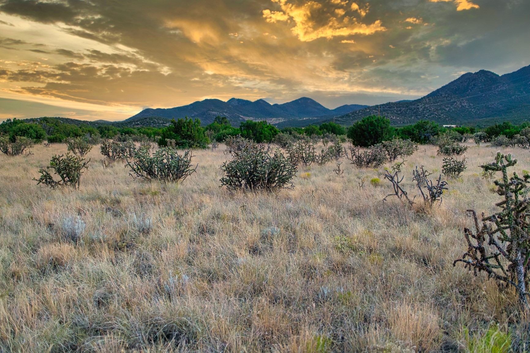 509 Gold Mine Road Cerrillos, NM 87010 - Photo 1 of 20