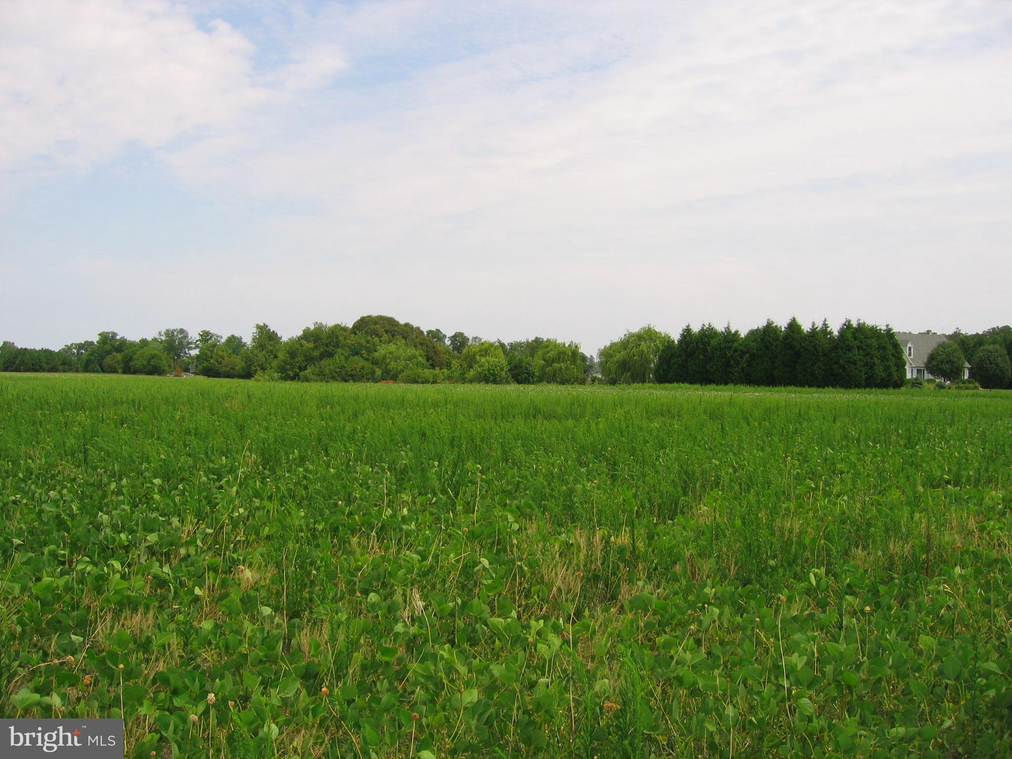 0 Deep Harbor Farm Road Sherwood, MD 21665 - Photo 4 of 9