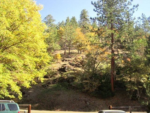 196 Eastside Road Jacksonville, OR 97530 - Photo 14 of 22