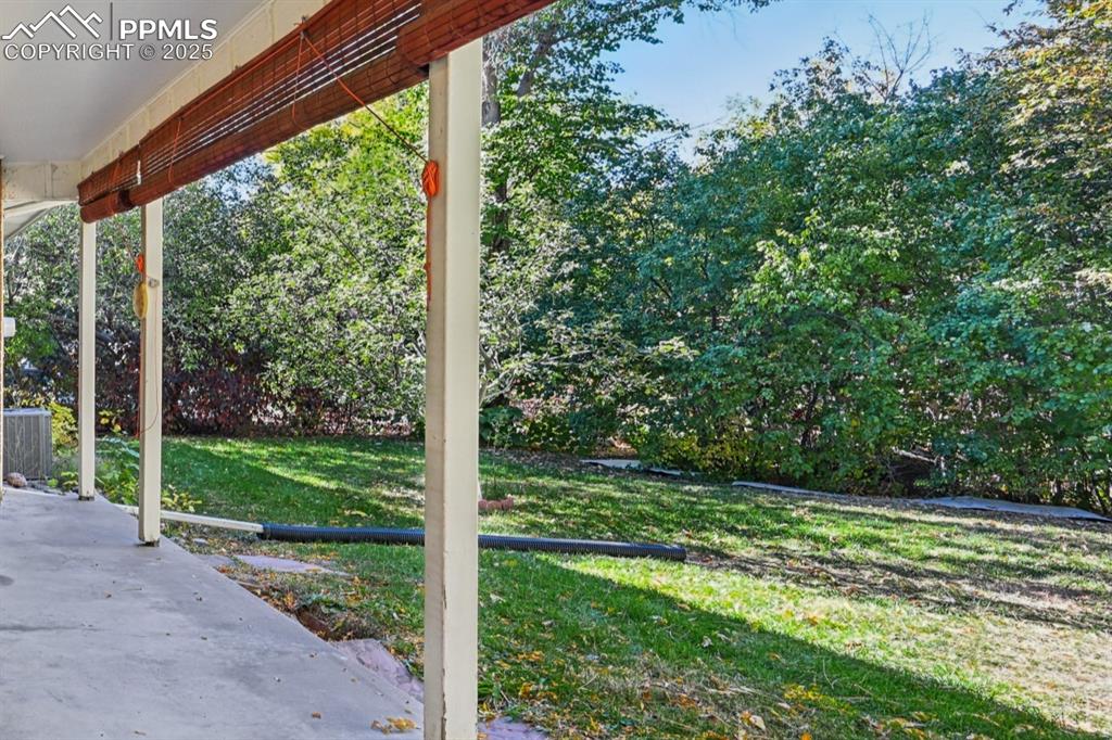 2977 South Oneida Street Denver, CO 80224 - Photo 7 of 50 a view of a backyard with a large tree