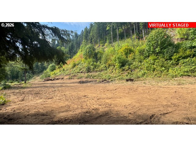 1281 Szydlo Road Carson, WA 98610 - Photo 25 of 26