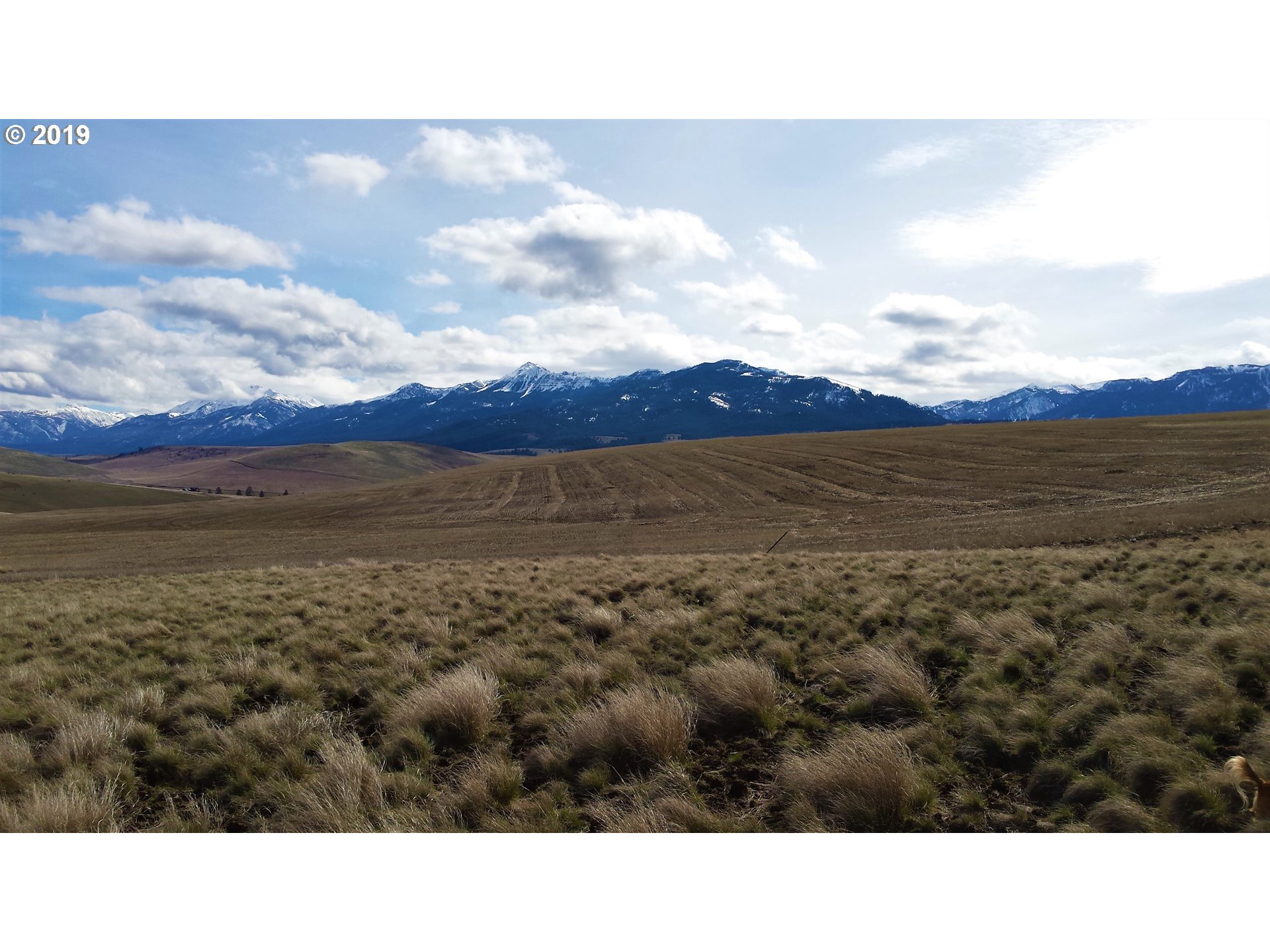 0 Lone Gulch Road Lostine, OR 97857 - Photo 1 of 11 Gallery Image 1