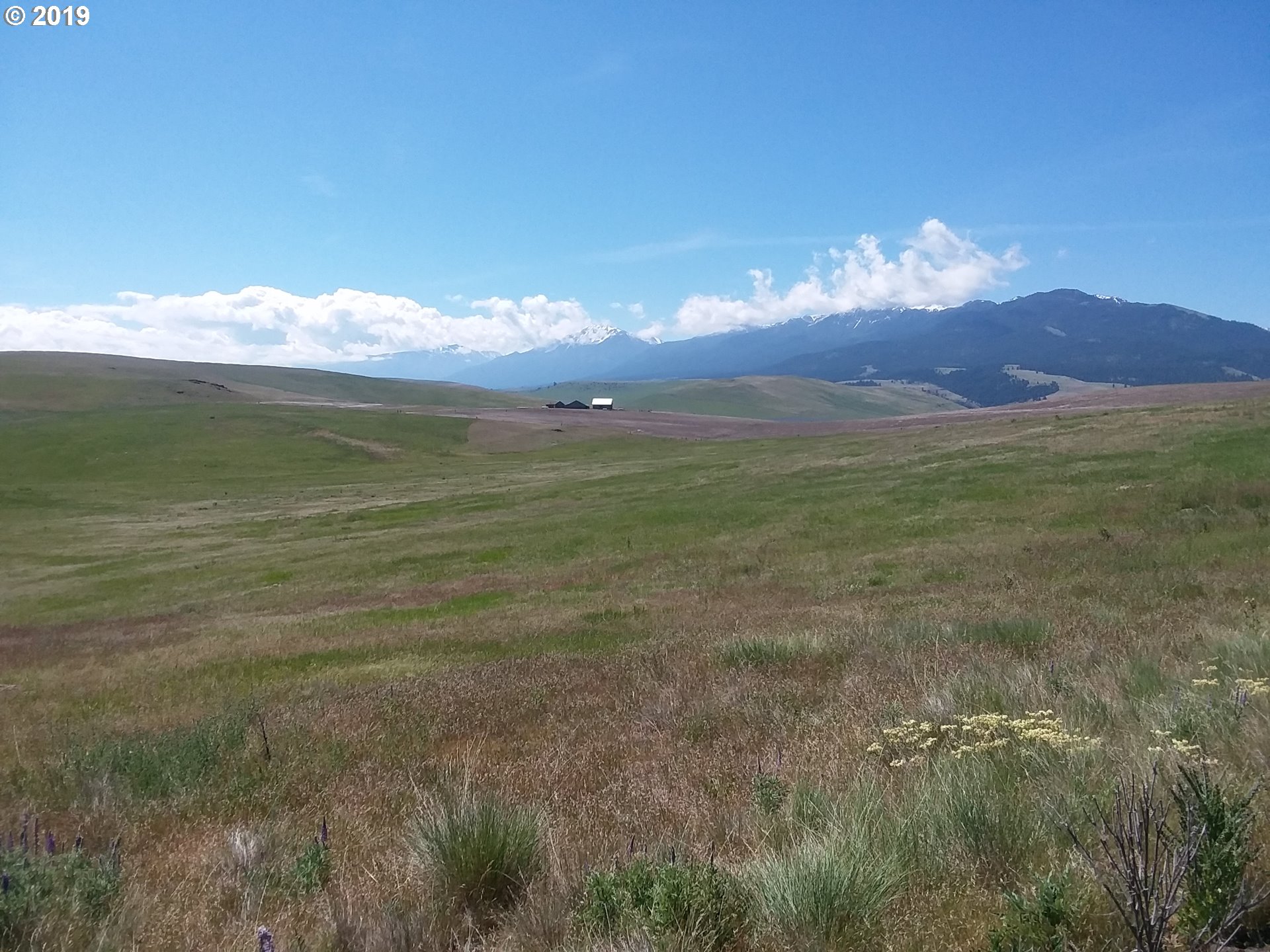 0 Lone Gulch Road Lostine, OR 97857 - Photo 5 of 11 Gallery Image 5
