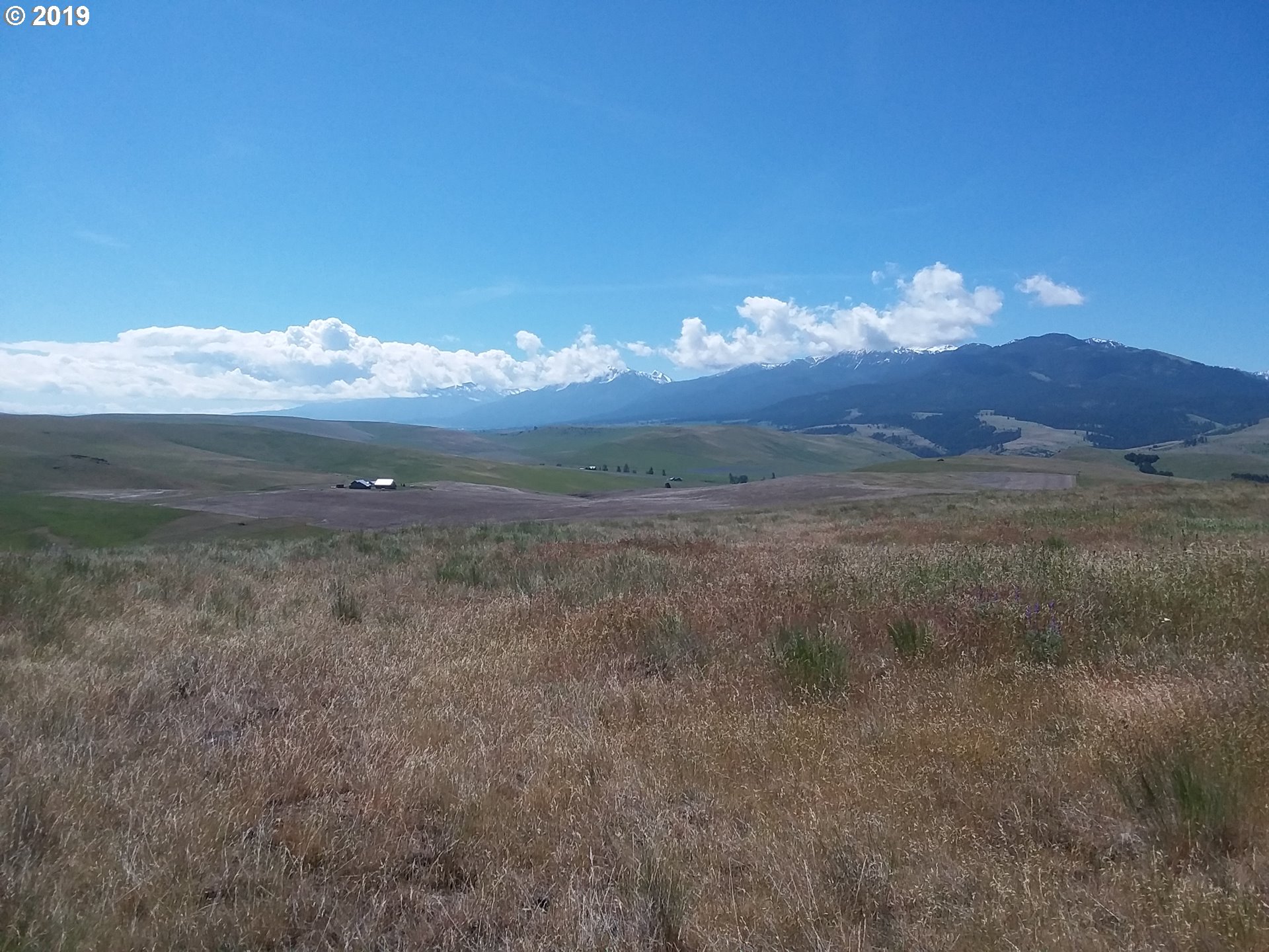 0 Lone Gulch Road Lostine, OR 97857 - Photo 7 of 11 Gallery Image 7