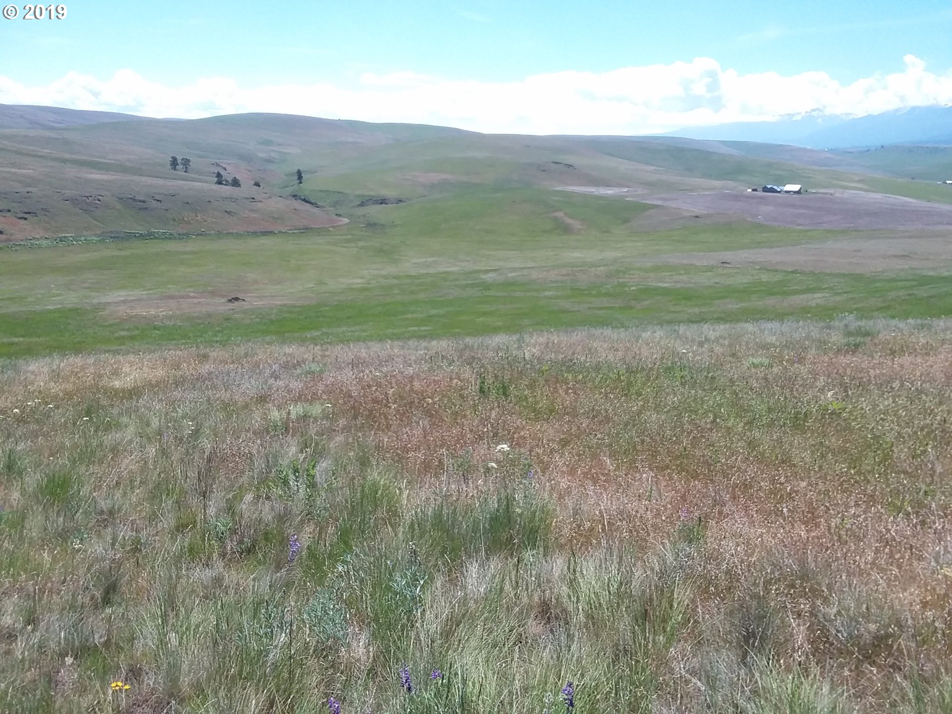 0 Lone Gulch Road Lostine, OR 97857 - Photo 8 of 11 Gallery Image 8