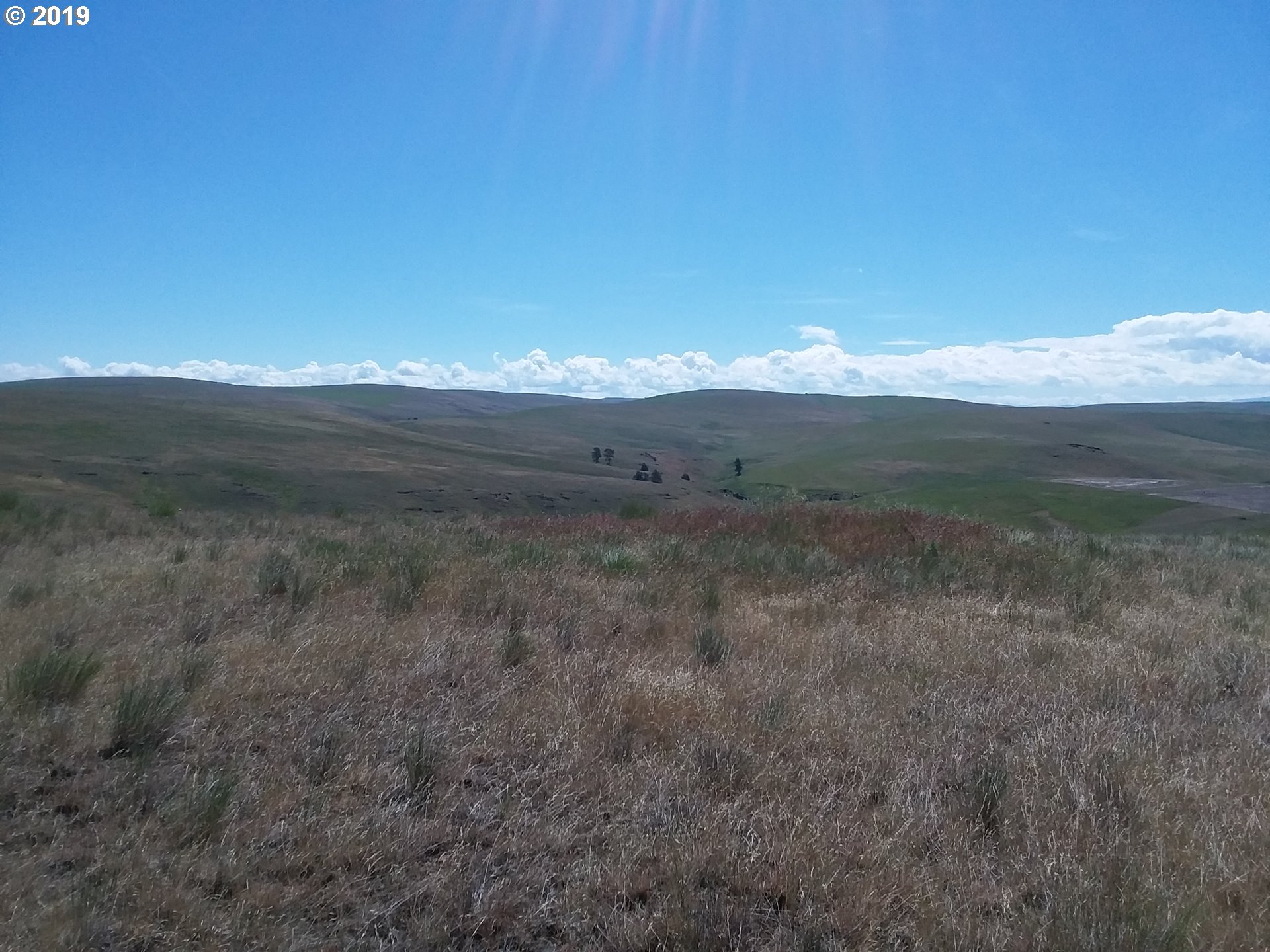0 Lone Gulch Road Lostine, OR 97857 - Photo 9 of 11 Gallery Image 9