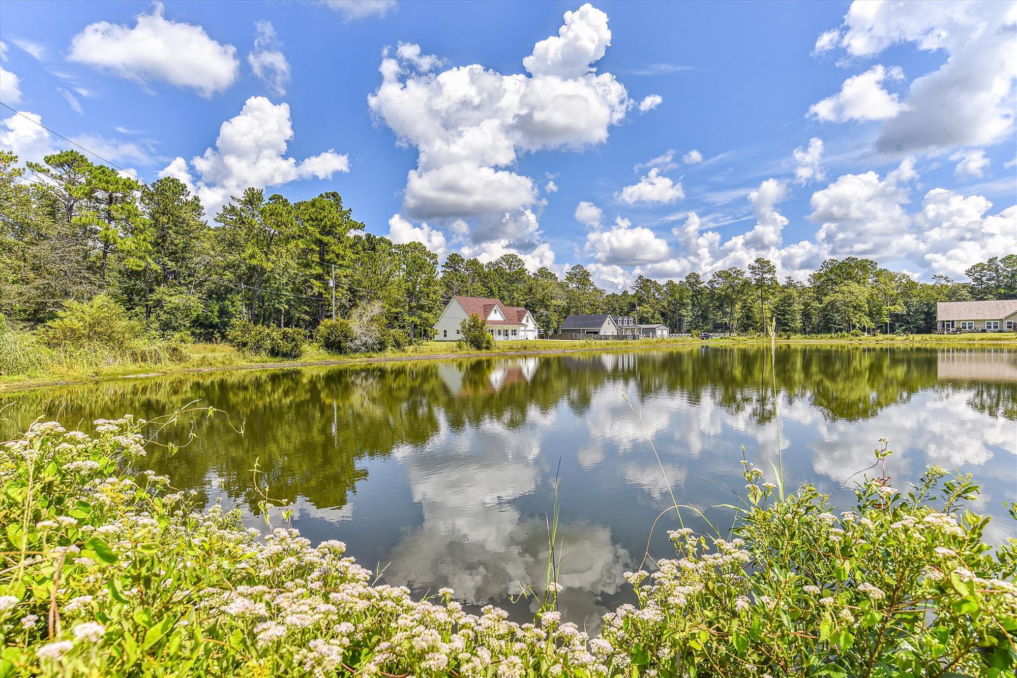 5914 Yellow Dog Road Ravenel, SC 29470 - Photo 3 of 36 exterior-back elevation-_dsc0382