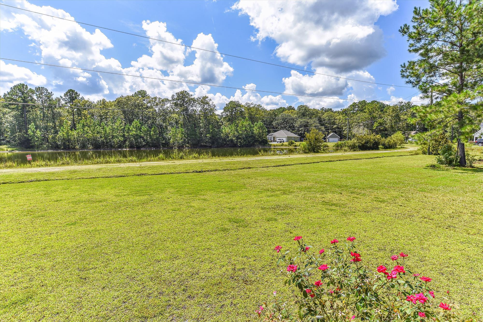 5914 Yellow Dog Road Ravenel, SC 29470 - Photo 35 of 36 main level-view-_dsc0373