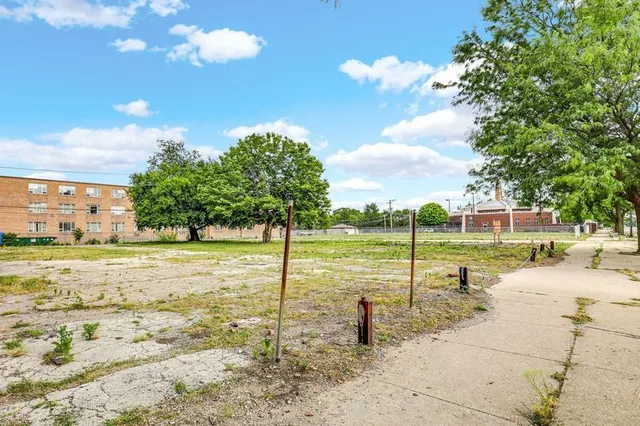 a view of a yard with a tree