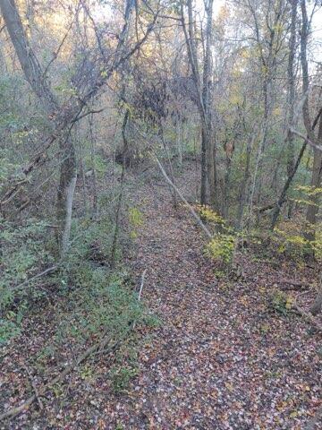 57640 St John Road Quaker City, OH 43773 - Photo 22 of 51 Trail-4