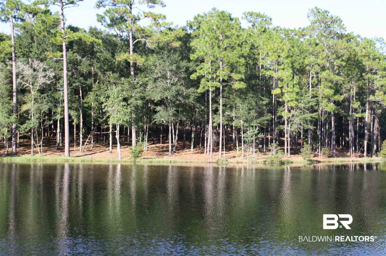43 Shady Lane Hope Hull, AL 36043 - Photo 5 of 19