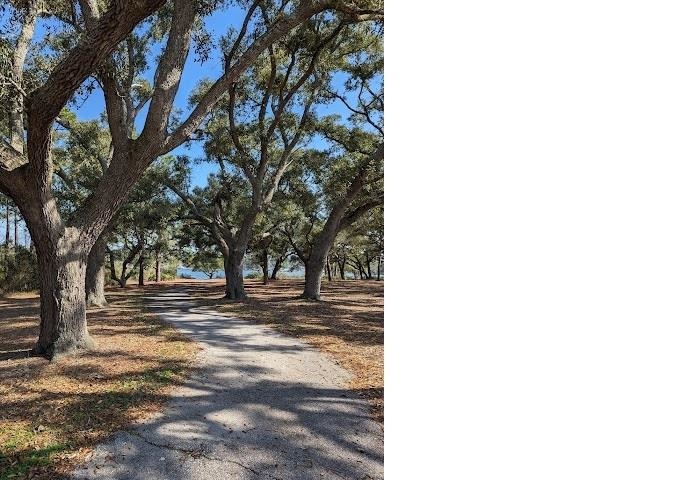 315 Flannan Road Pensacola, FL 32507 - Photo 19 of 20