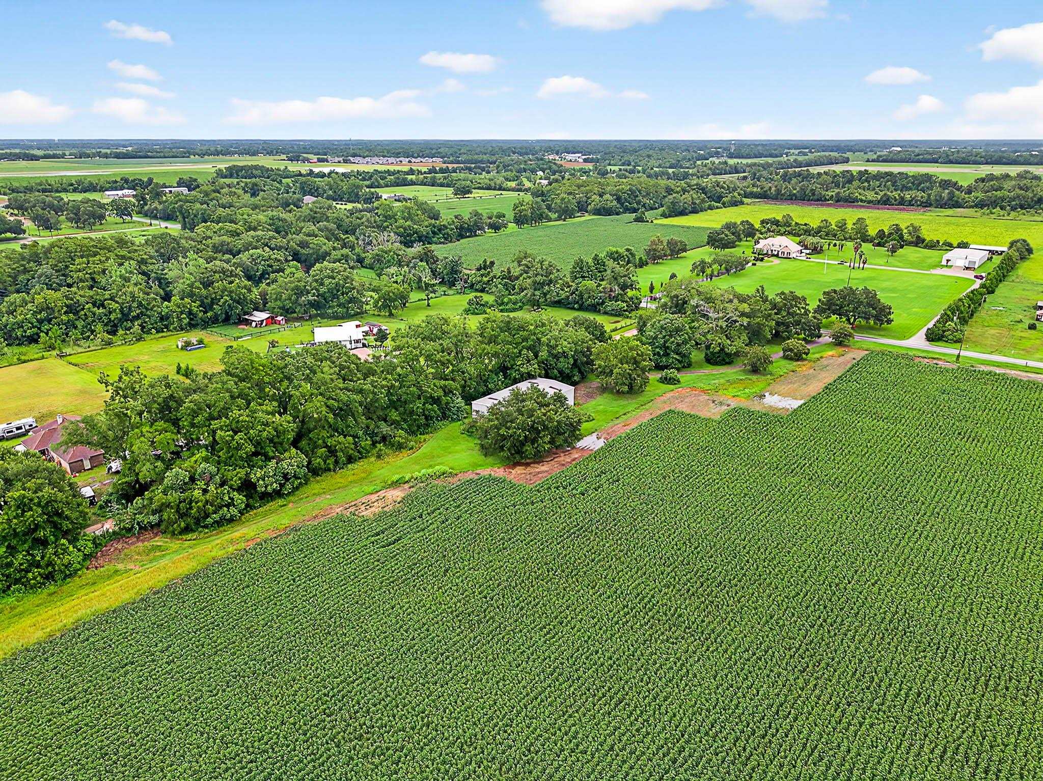 17270 Davis Road Summerdale, AL 36580 - Photo 52 of 97 Aerial View