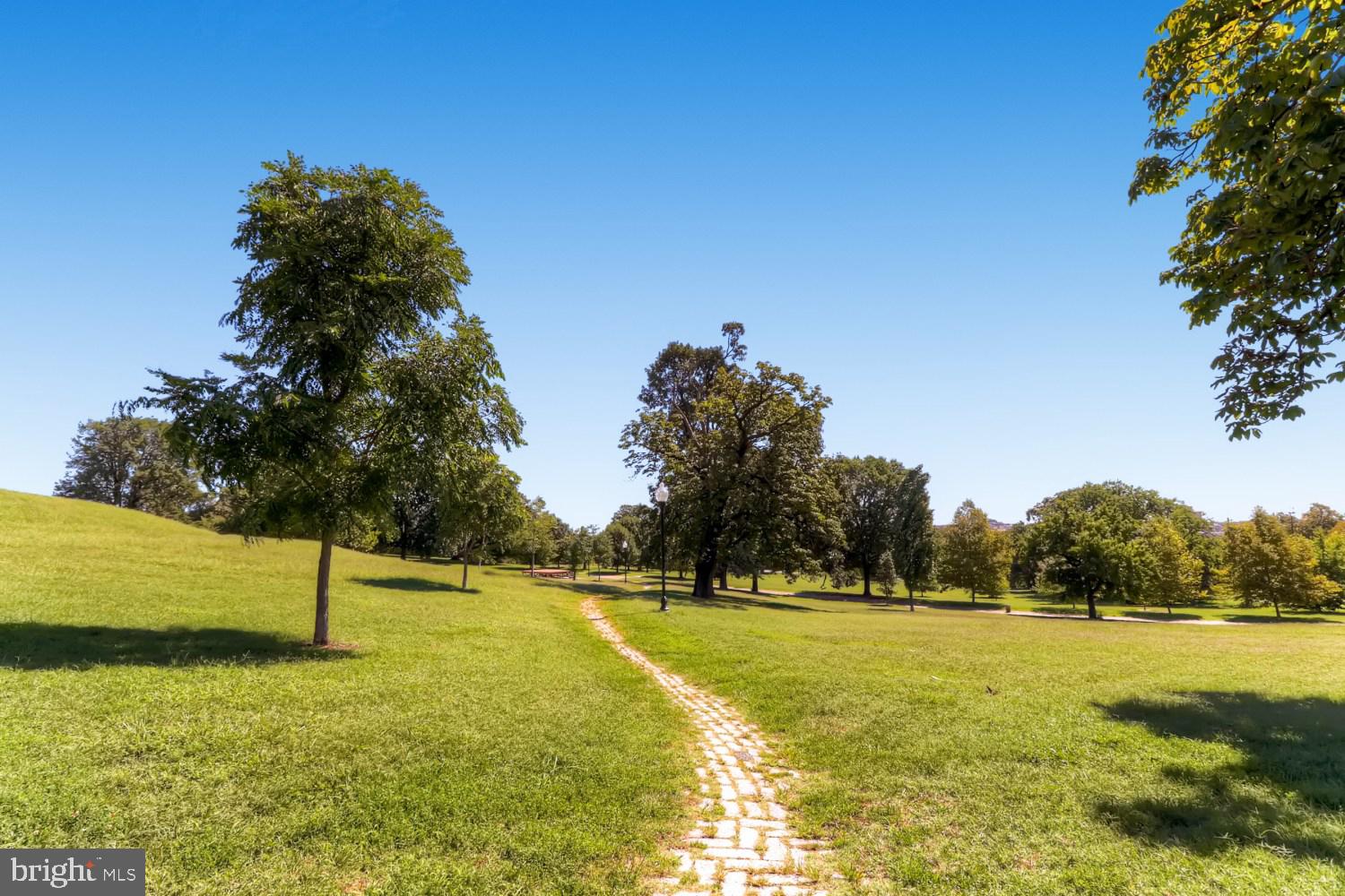 131 South Curley Street Baltimore, MD 21224 - Photo 32 of 33 Patterson Park Neighborhood Photos