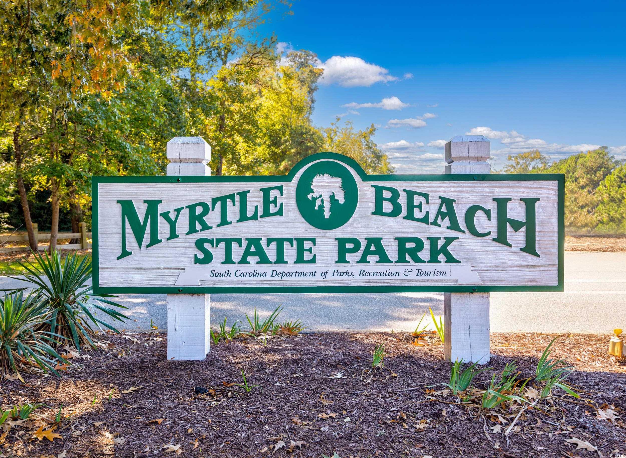 3668 Spruce Drive, Unit 3668 Myrtle Beach, SC 29577 - Photo 34 of 39