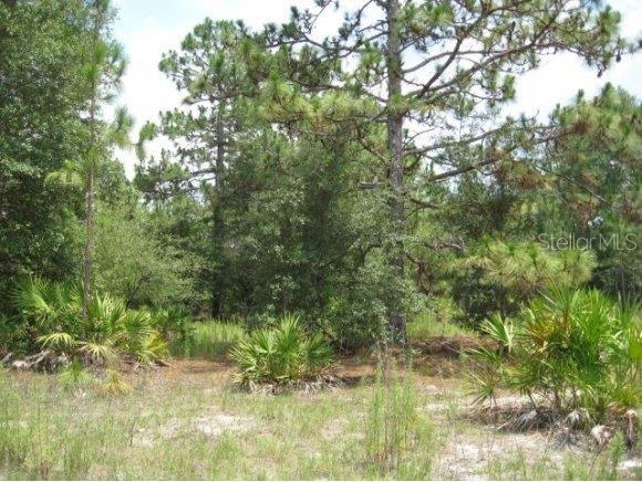 0 Northeast 194 Street Citra, FL 32113 - Photo 1 of 1 Primary Photo
