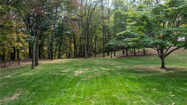 a view of green field