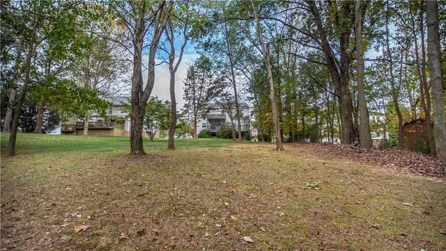 a view of a tree in the park