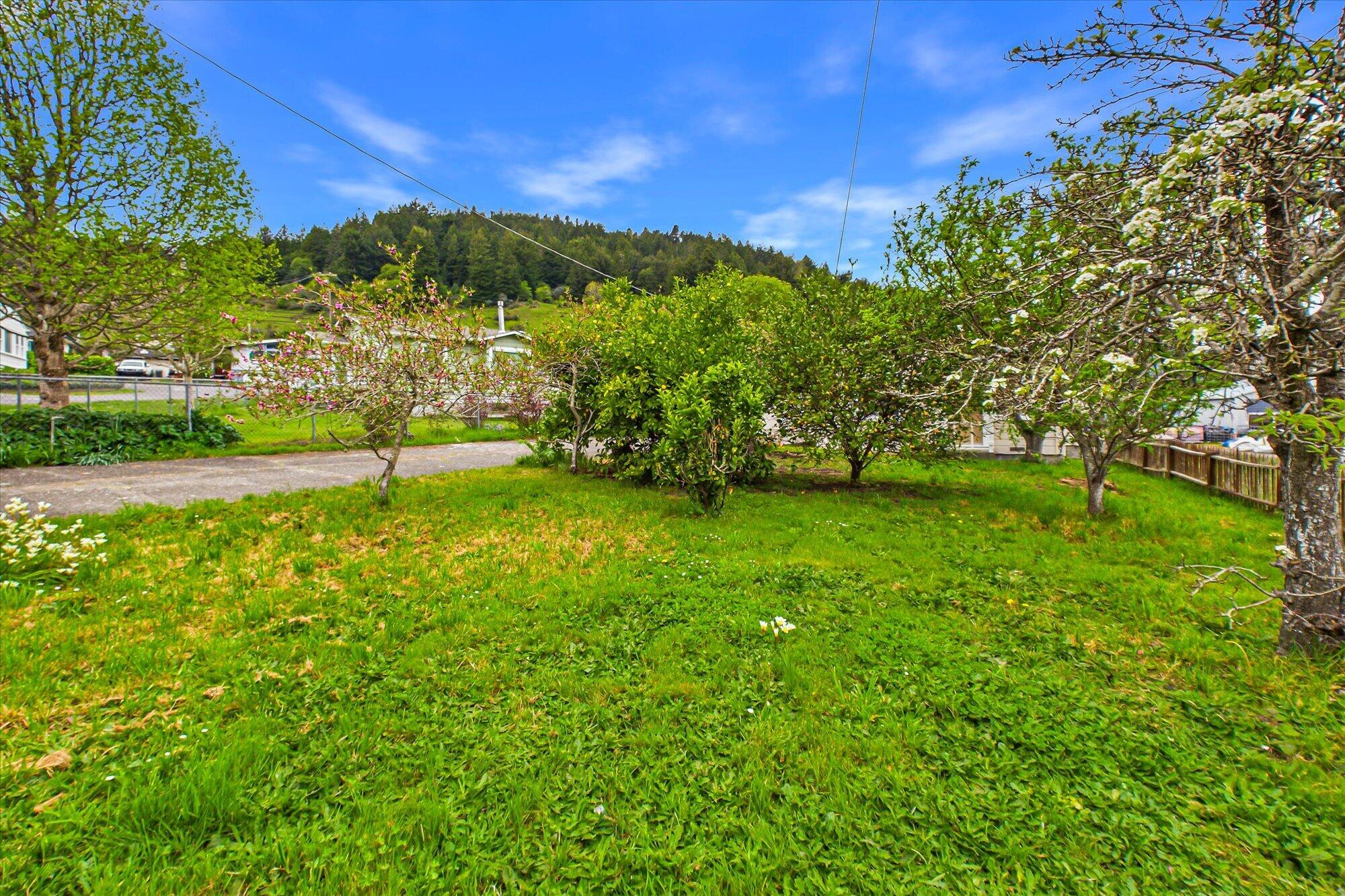 125 Elm Street Rio Dell, CA 95562 - Photo 42 of 43