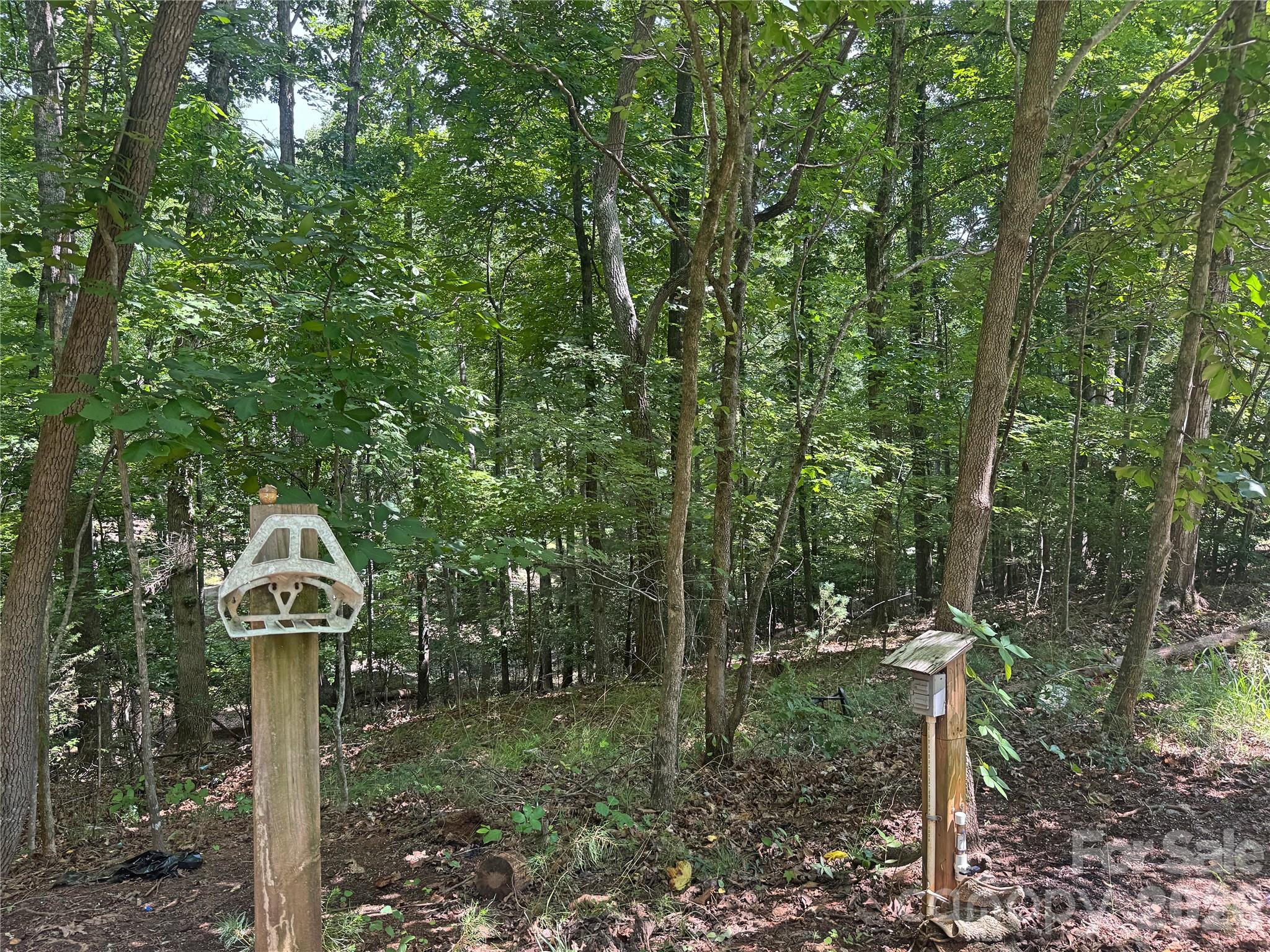173 Croom Hollow Road Nebo, NC 28761 - Photo 36 of 44