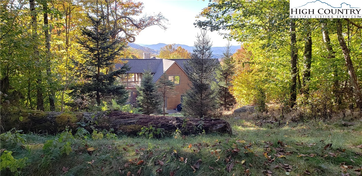140 Spruce Hollow Road Beech Mountain, NC 28604 - Photo 48 of 50 a view of a house with a yard