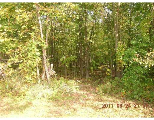 2700 Baseline Road Stockbridge, MI 49285 - Photo 10 of 10 Photo 10