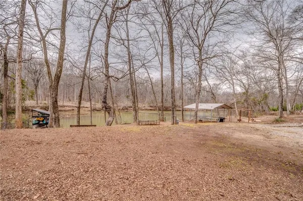a view of large trees with a yard