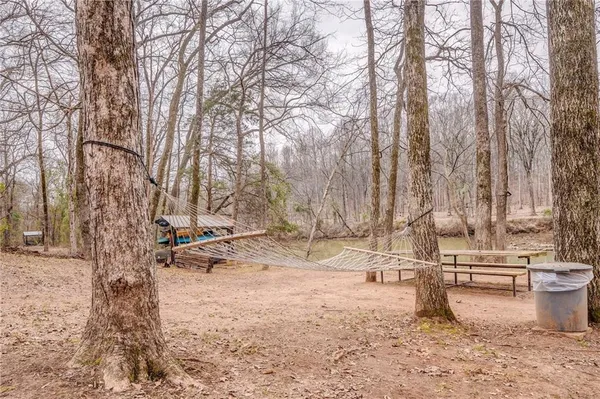 a view of a yard with a tree