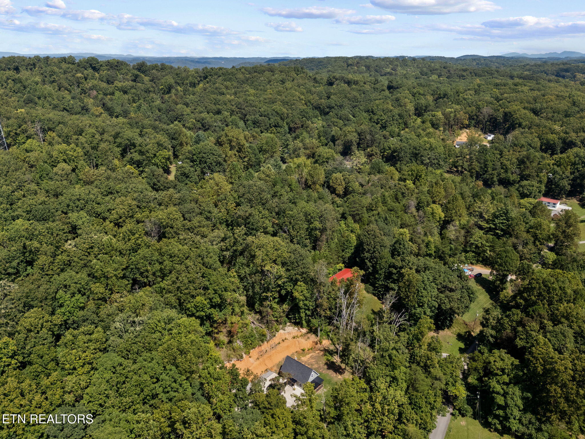 8811 Ellis Lane Powell, TN 37849 - Photo 7 of 38 9-web-or-mls-Ellis Ln--27