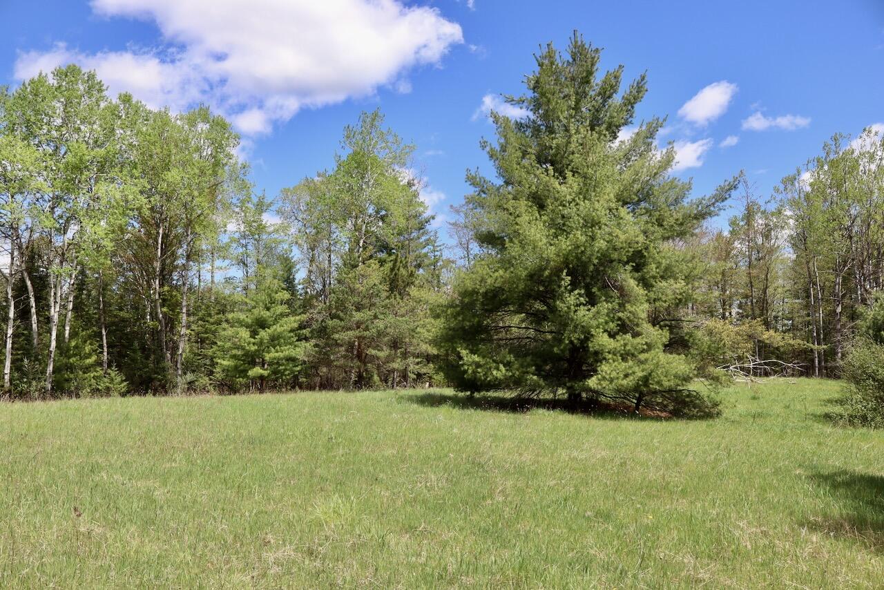 5826 South Morrison Road Alger, MI 48610 - Photo 45 of 86 036