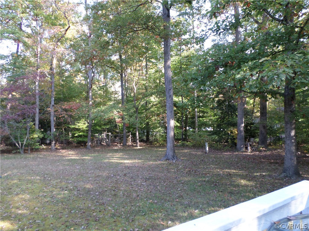 10339 North Donegal Road Chesterfield, VA 23832 - Photo 17 of 18 View of the private serene yard!