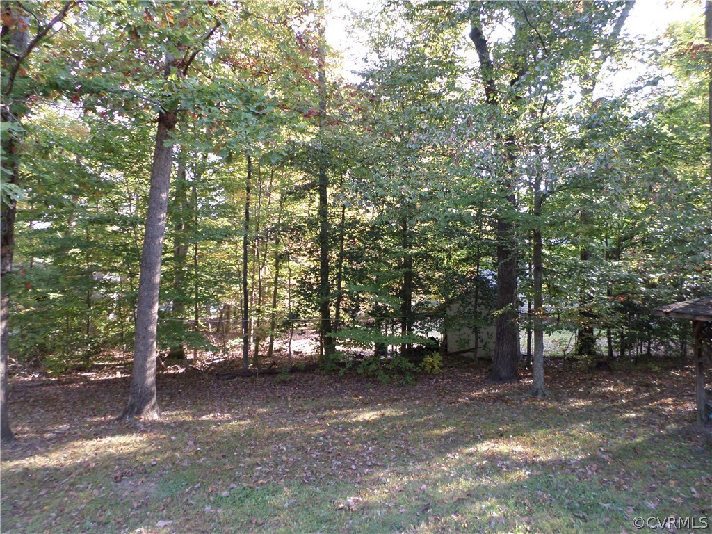 10339 North Donegal Road Chesterfield, VA 23832 - Photo 18 of 18 Another view of the serene yard!