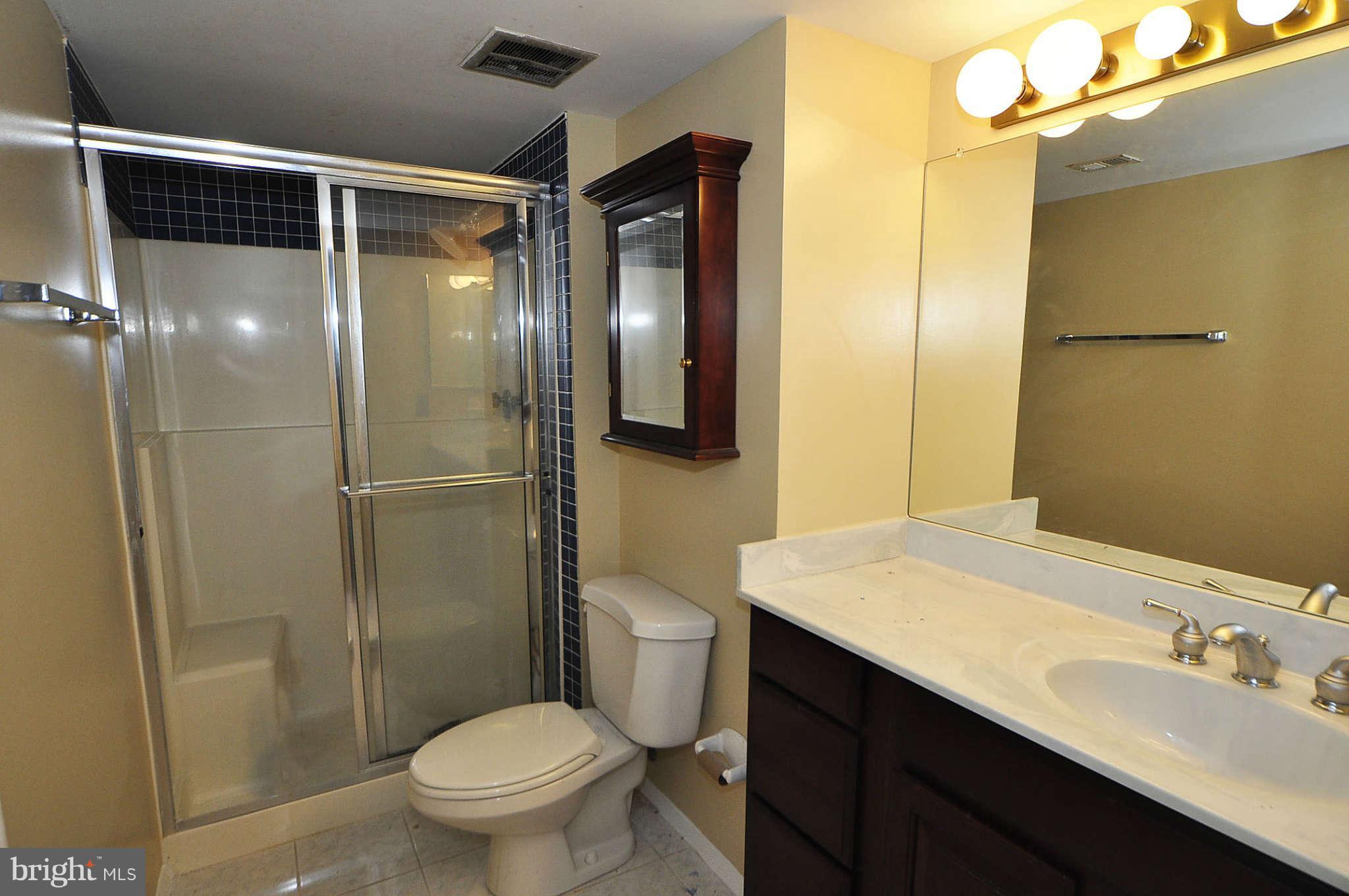 2112 Green Watch Way, Unit 10/300 Reston, VA 20191 - Photo 18 of 20 Bath (Master)