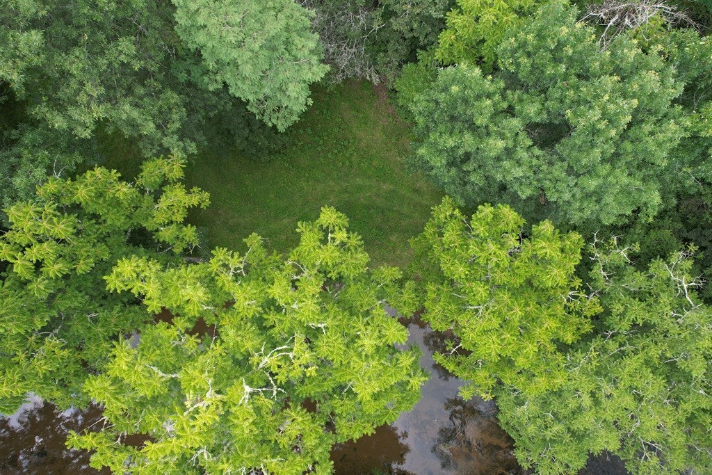 Tbd Hall Hollow Road Austinville, VA 24312 - Photo 39 of 59 Gallery Image 39