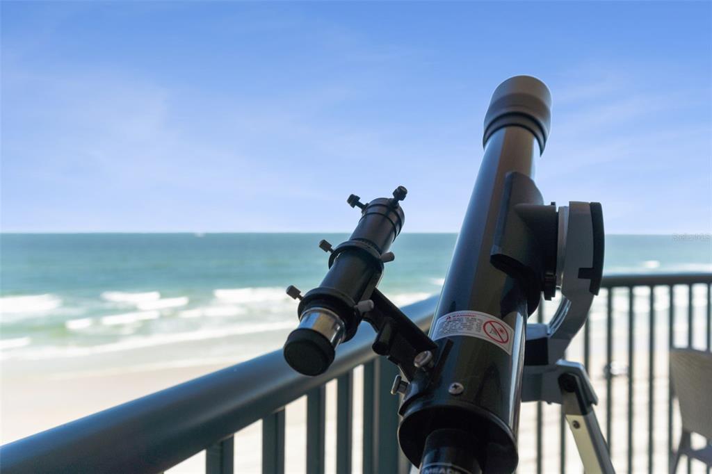 4621 South Atlantic Avenue, Unit 7506 Ponce Inlet, FL 32127 - Photo 34 of 46 a vase of flowers sitting on a table