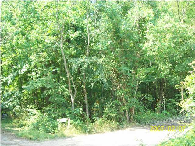 0 Spillway Road Ville Platte, LA 70586 - Photo 2 of 8 Additional Photo