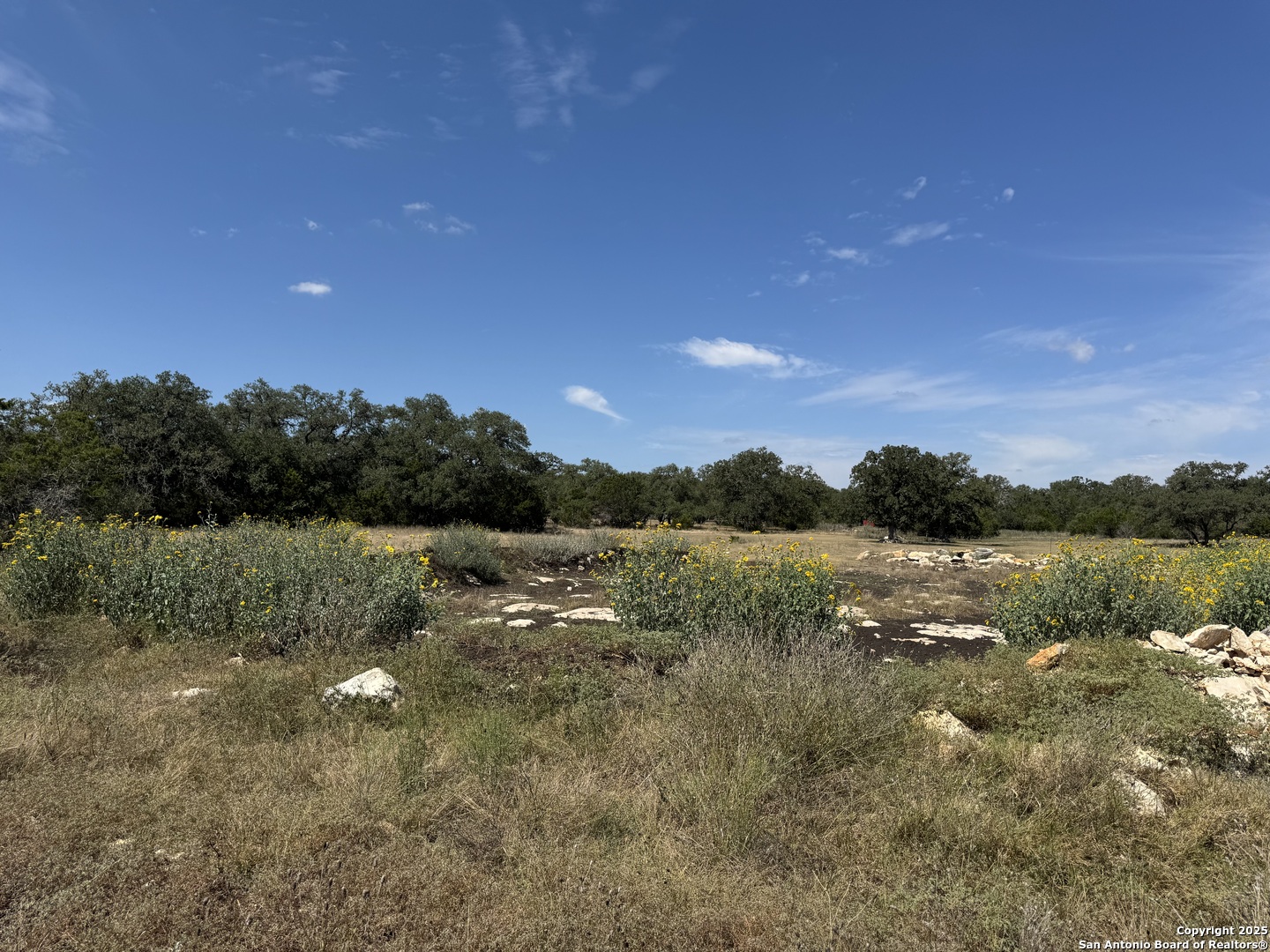 2110 Phantom Rider Trail Spring Branch, TX 78070 - Photo 4 of 11 a view of lake with green space