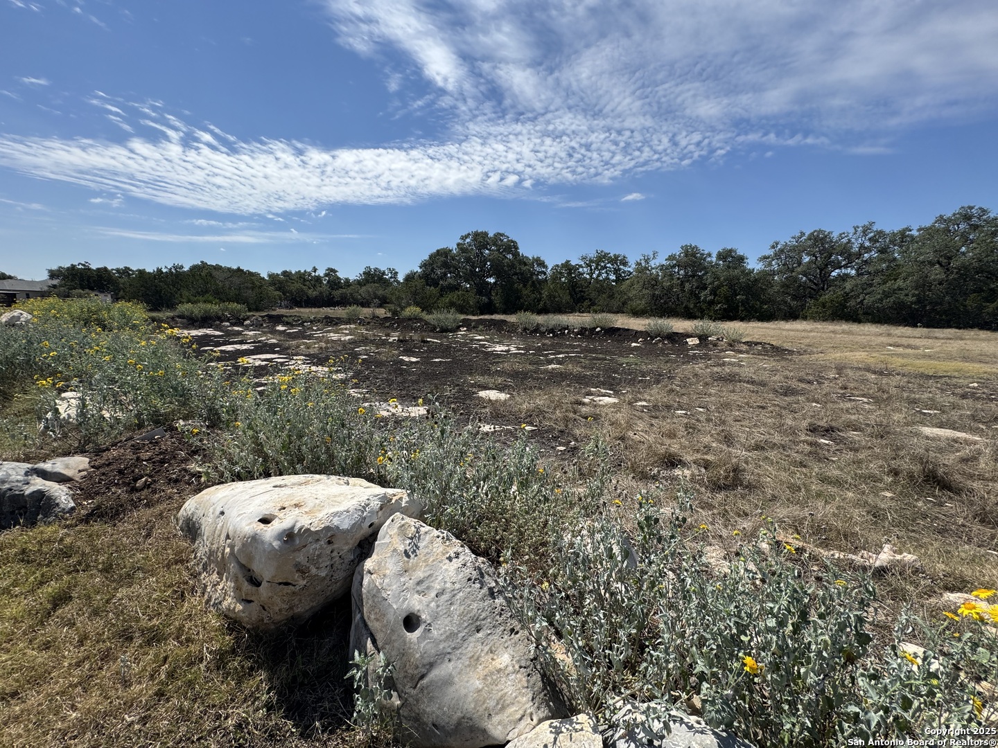 2110 Phantom Rider Trail Spring Branch, TX 78070 - Photo 9 of 11 a view of a yard
