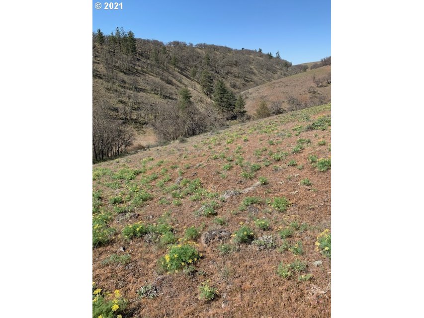 118 High Valley Road, Unit 39 40 Goldendale, WA 98620 - Photo 20 of 32 Gallery Image 20