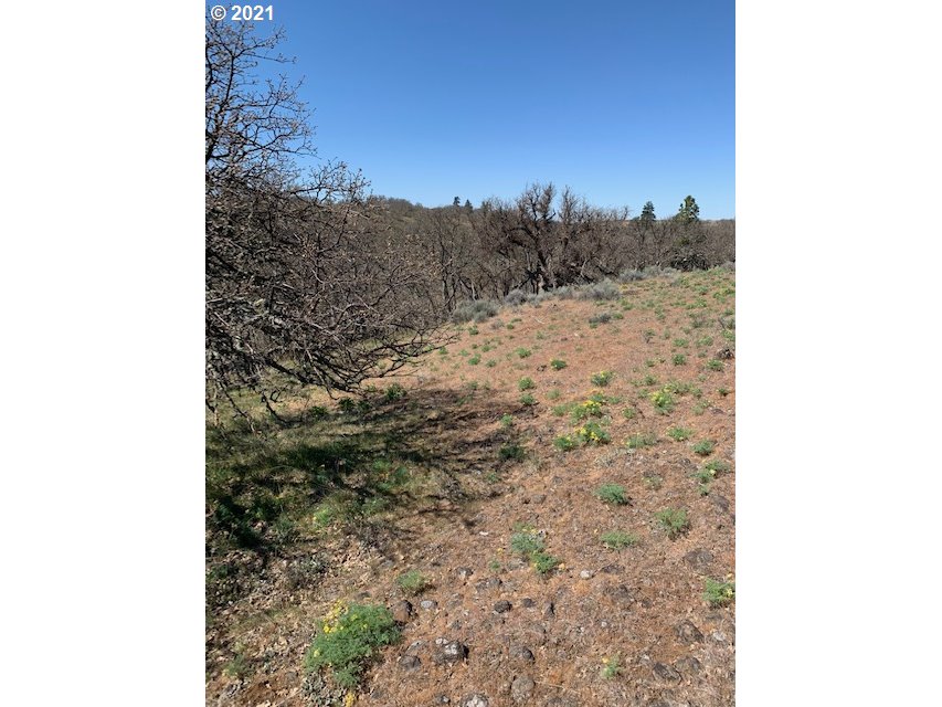 118 High Valley Road, Unit 39 40 Goldendale, WA 98620 - Photo 21 of 32 Gallery Image 21