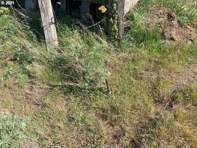 118 High Valley Road, Unit 39 40 Goldendale, WA 98620 - Photo 10 of 32 Gallery Image 10