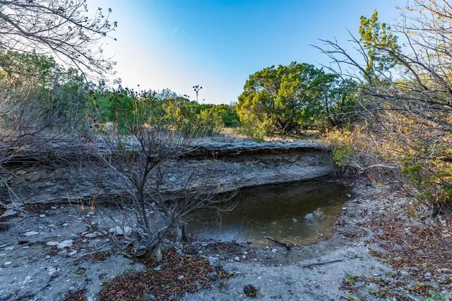 a view of a yard with plants